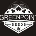 greenpoint seed company