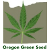 oregon green seed