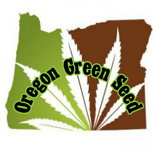 Oregon Green Seed